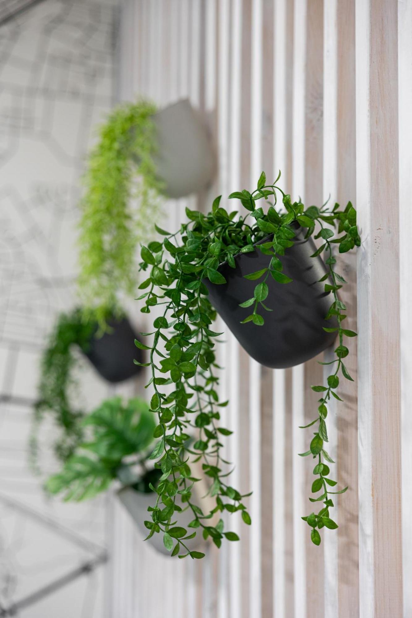 Appartement Sekwoja Rent - Malmeda 15 à Białystok Extérieur photo